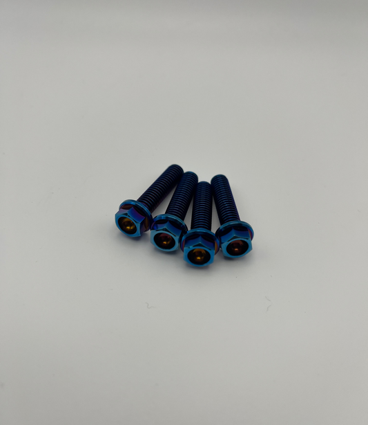 Titanium Bolts M6x25 (Pack of 4)